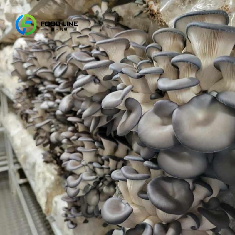 مزرعة حاويات معيارية للزراعة ا - مراجعة Agriculture Vertical Farming وسعره