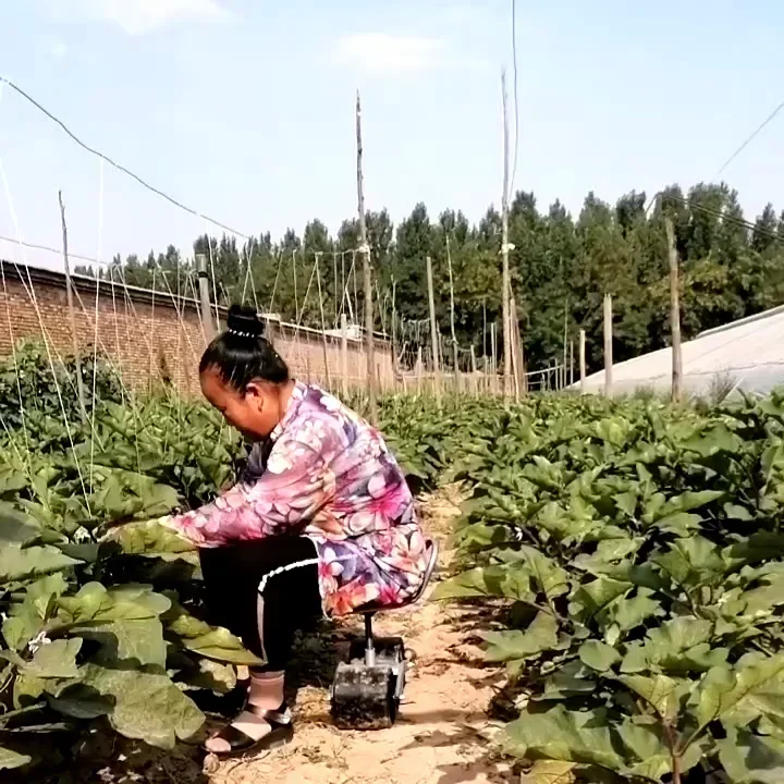 مقعد عمل دوار 360 درجة للبيوت  - مراجعة Agriculture Farming Degree وسعره