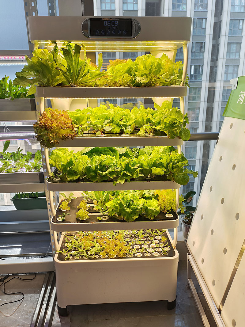 ج آلة الزراعة لزراعة الخضار ال - مراجعة Agriculture Vertical Farming وسعره