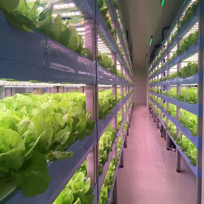 نظام حاويات زراعية مخصصة للزرا - مراجعة Agriculture Vertical Farming وسعره