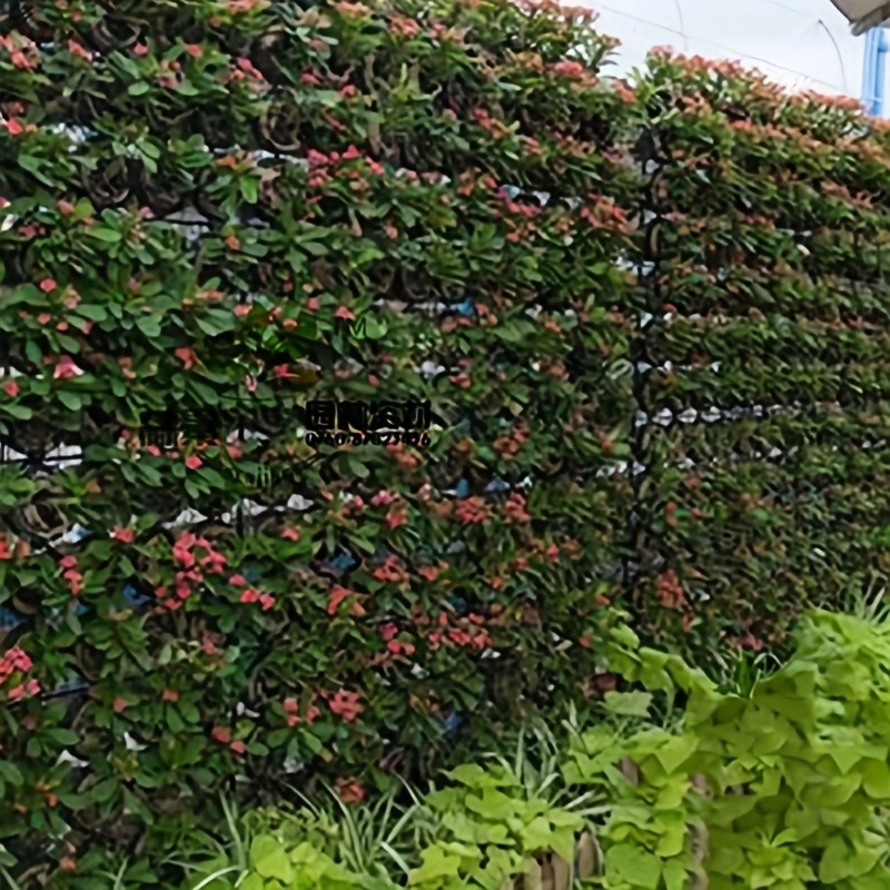 حقيبة زراعة شعر متعددة الجيوب  - مراجعة Agriculture Vertical Farming وسعره