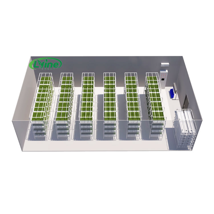 الدفيئات الزراعية الخس Nft نظا - مراجعة Agriculture Vertical Farming وسعره